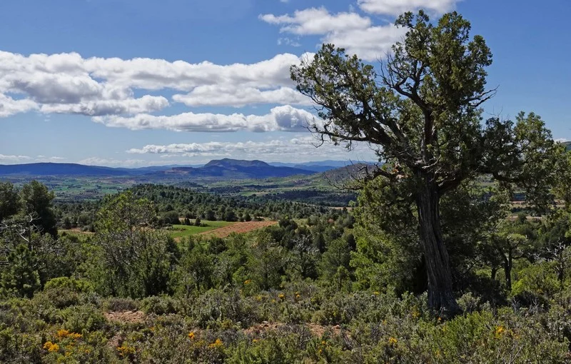 Vistas - Casa Pepita, La Almeza, Alpuente